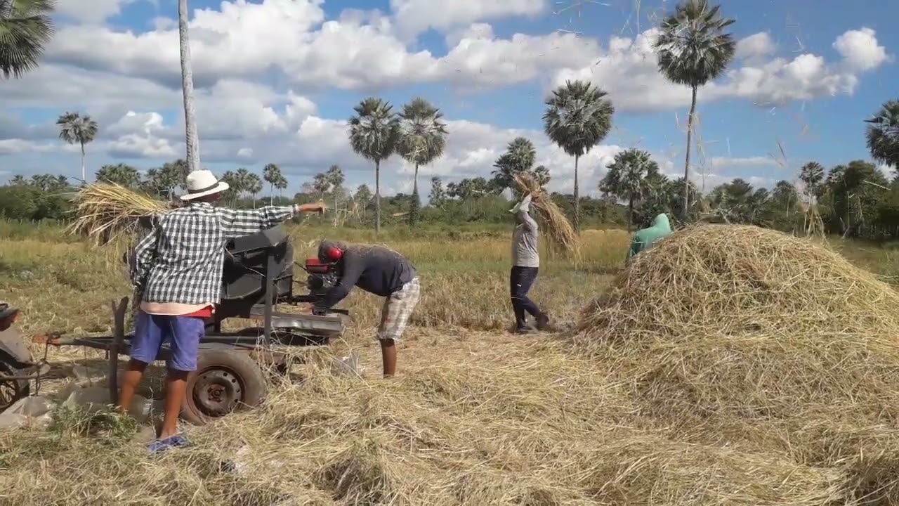 Batedeira de arroz caseira mais um dia de teste(vídeo 1) #moto branco #dibulhadora de arroz