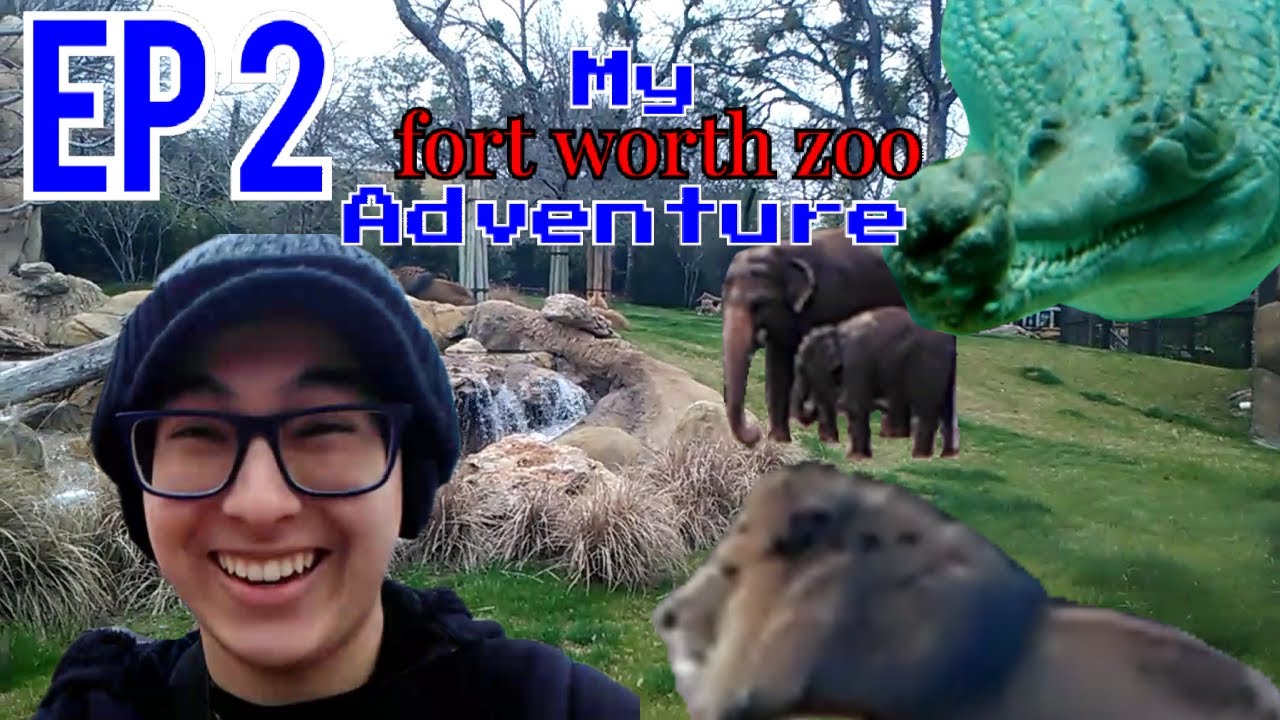 My Fort Worth Zoo Adventure Ep 2 Lions, Crocodiles Elephants and More! (GioVision Vlog)