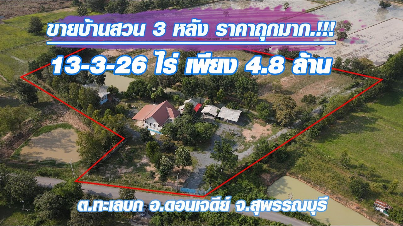 ขายบ้านสวน 3 หลัง เกือบ 14 ไร่ บรรยากาศดี ถนนลาดยาง ยกแปลง 4.8 ล. ดอนเจดีย์ สุพรรณบุรี โฉนดครุฑแดง