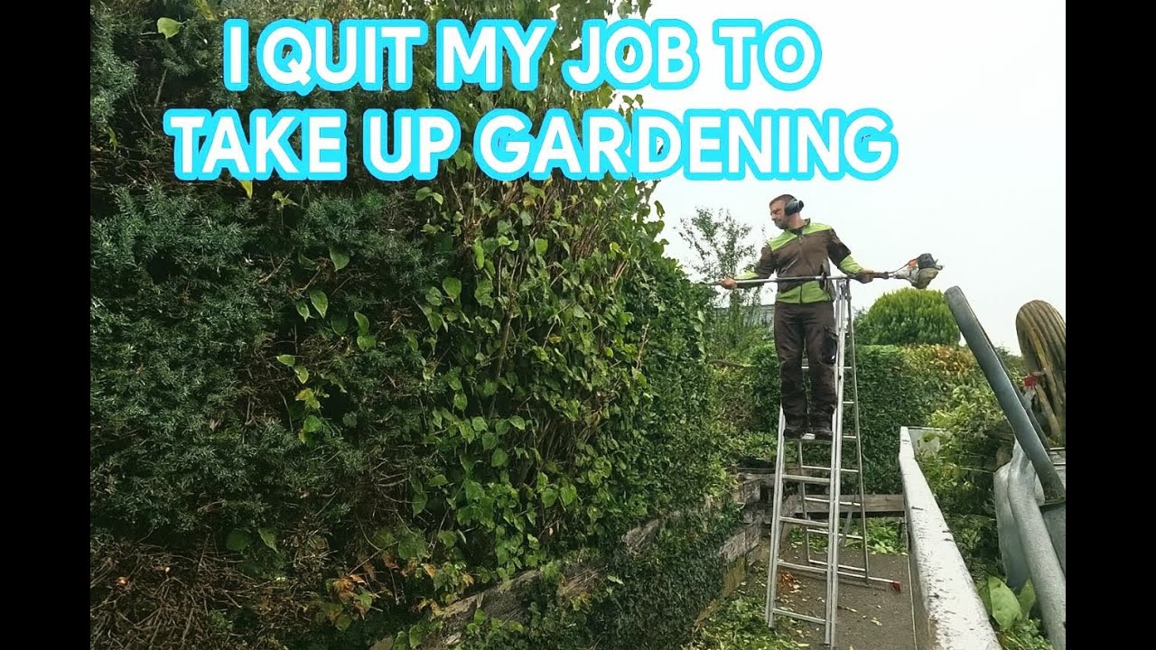 I QUIT my JOB to take up GARDENING