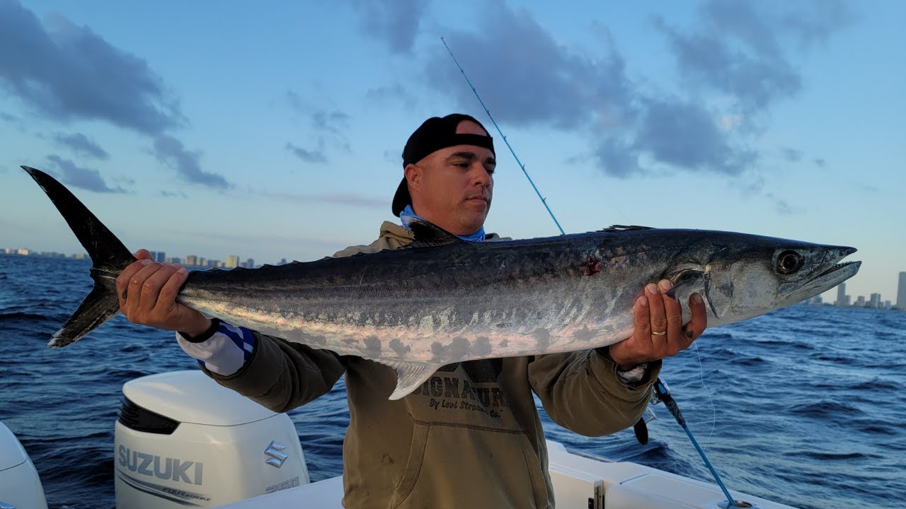 Pesca con SOLO JIGS usando la TECNICA del JIGGING LENTO, Miami FL, Pesca de solo 15 minutos!