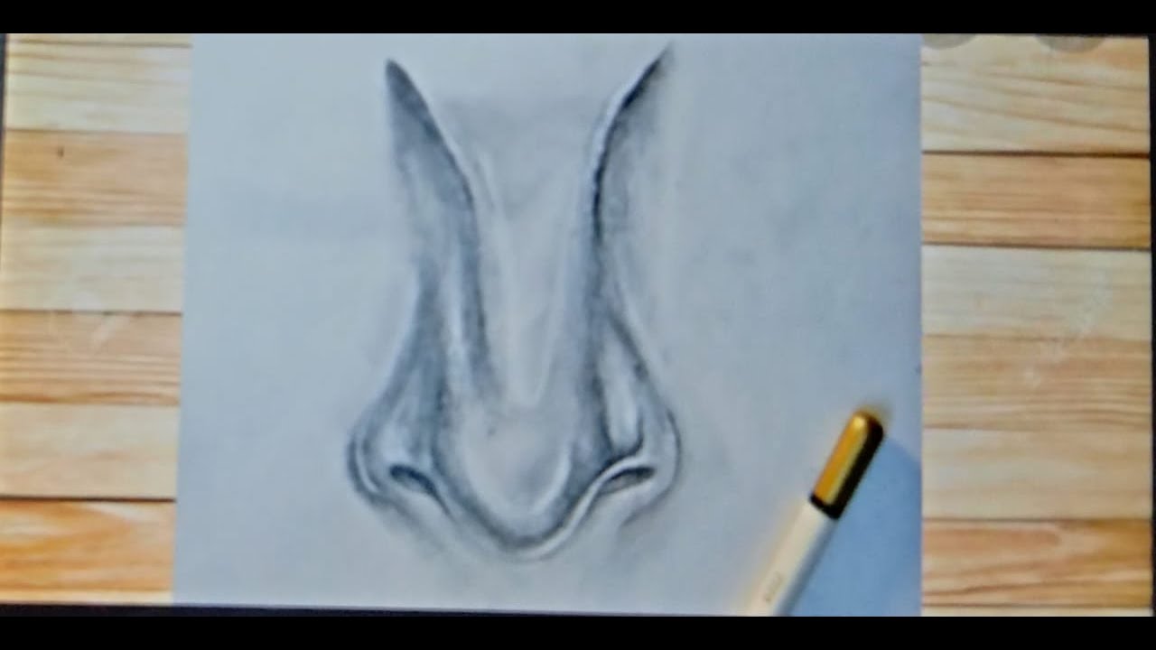 How to draw a realistic nose /for beginners