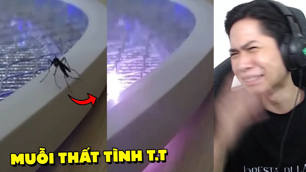 THẤT TÌNH tôi chuyển sinh bằng vợt muỗi *version MUỖI* !!! (Pobbrose TTCC) ✔