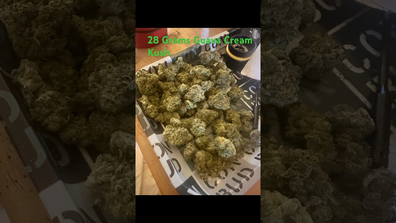 Peek at 28 Grams Guava Cream Kush paid $126 ​at Sunnyside- Wyomissing PA