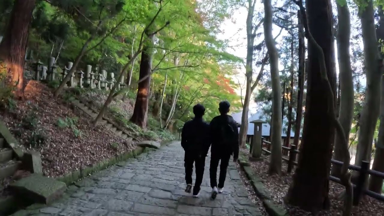 20241109 山寺