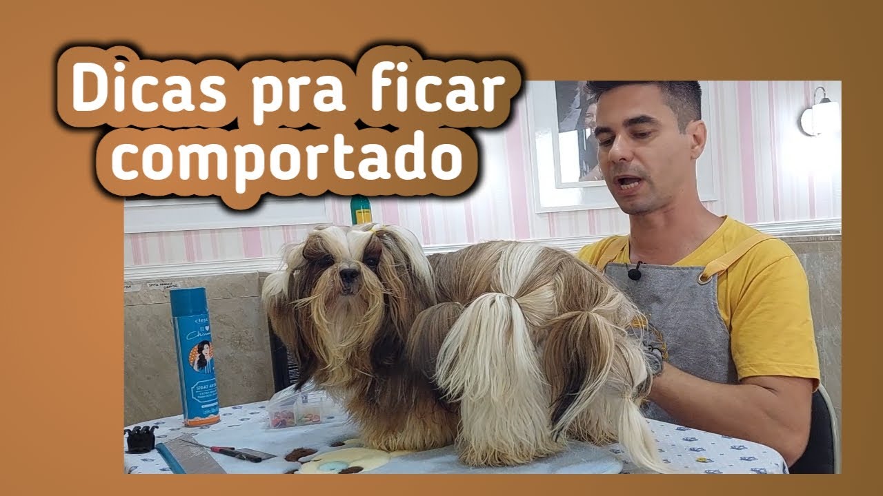 Como deixar o cão  comportado  na hora da escovação?