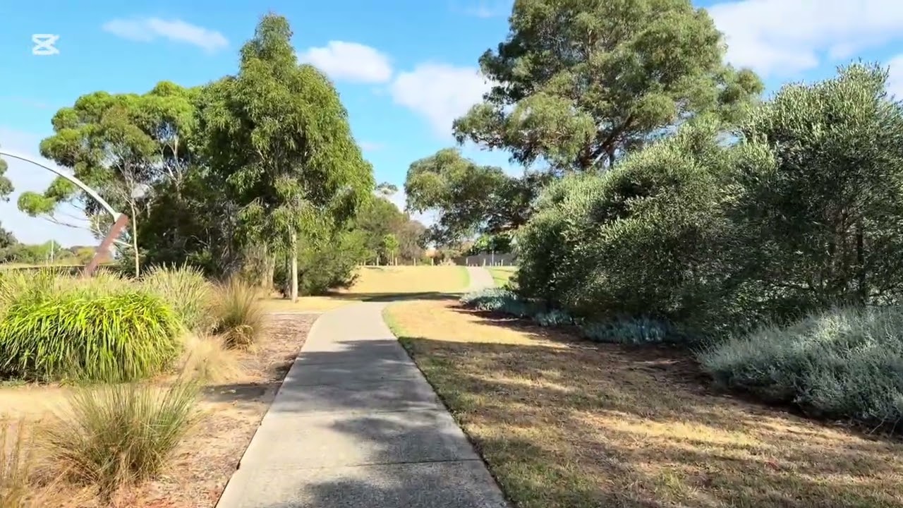 Nature Sounds After Rain 🌧️ | Relaxing Park Walk with Birds Singing #nature #birdsounds #relaxing 