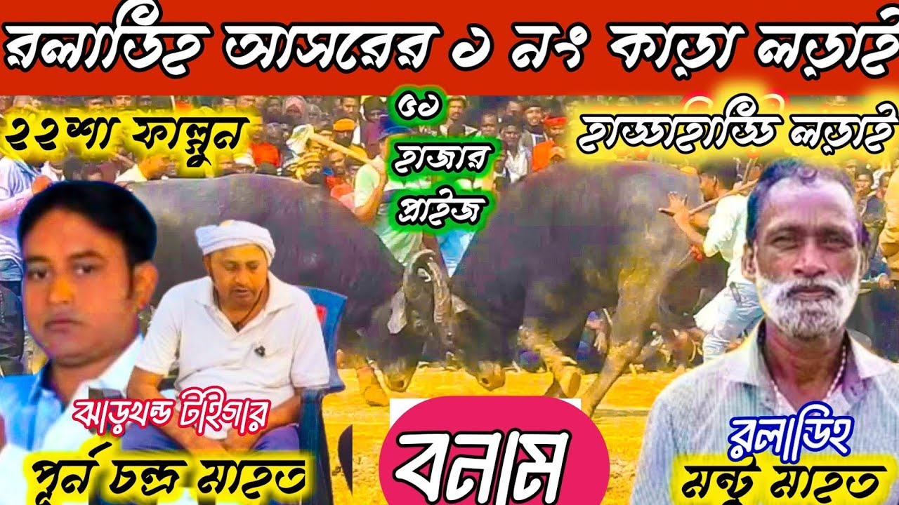 লরাডিহ আসরের ১ নং কাড়া লড়াই মন্টু মাহত বনাম পূর্ন চন্দ্র মাহত চোখ তাড়া তাড়ি লড়াই @bharatbasi