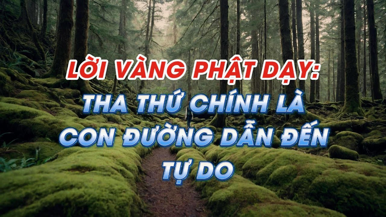 LỜI VÀNG PHẬT DẠY  6: THA THỨ CHÍNH LÀ CON ĐƯỜNG DẪN ĐẾN TỰ DO