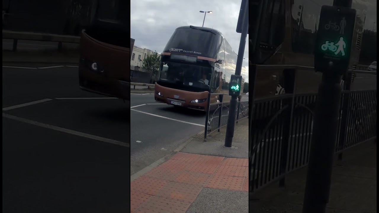 professional bus driver ?