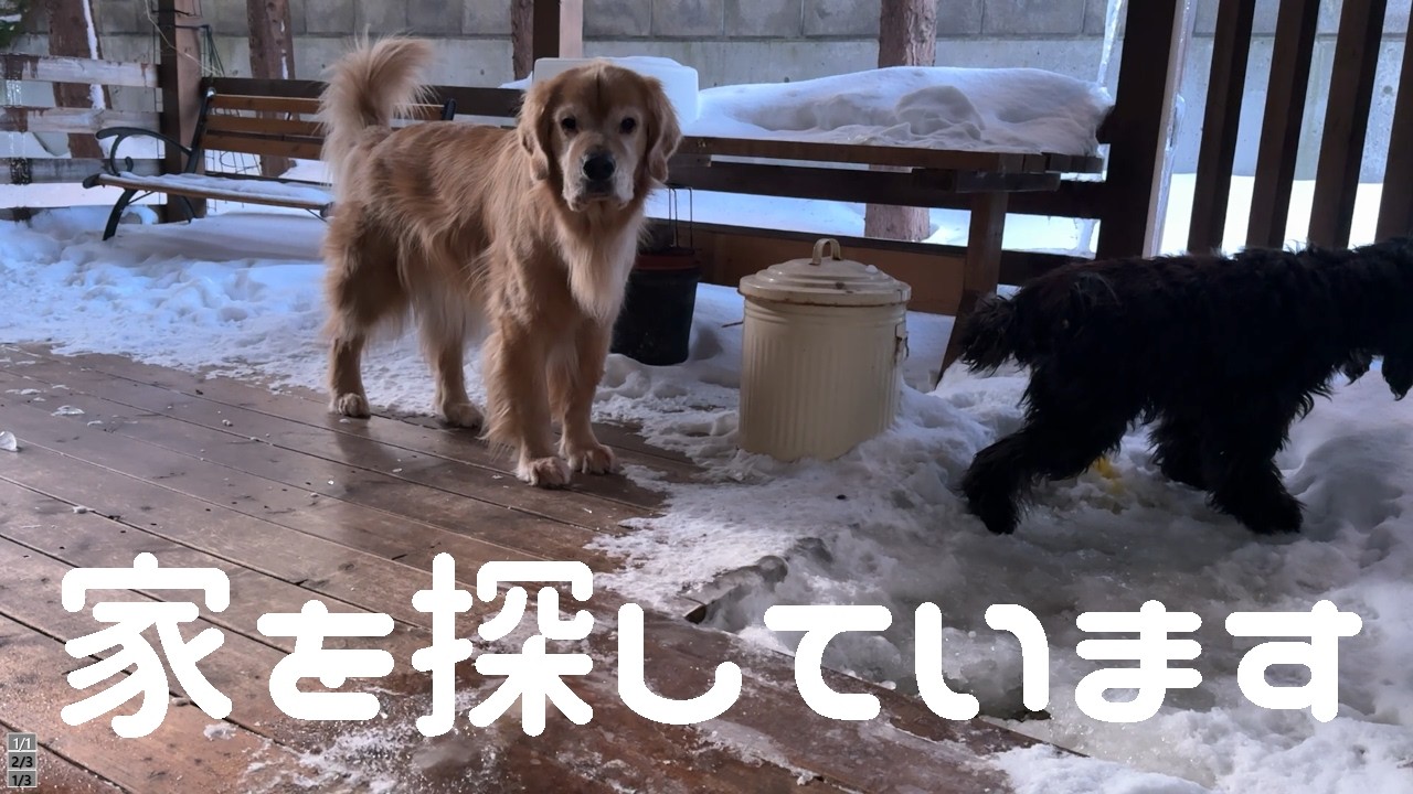 これからの事でお話ししたい事があります