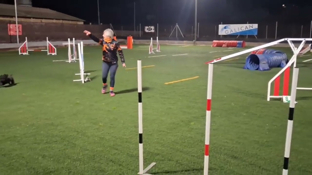 Lovely FCAG Santa Quiteria 1-02-26 Agility