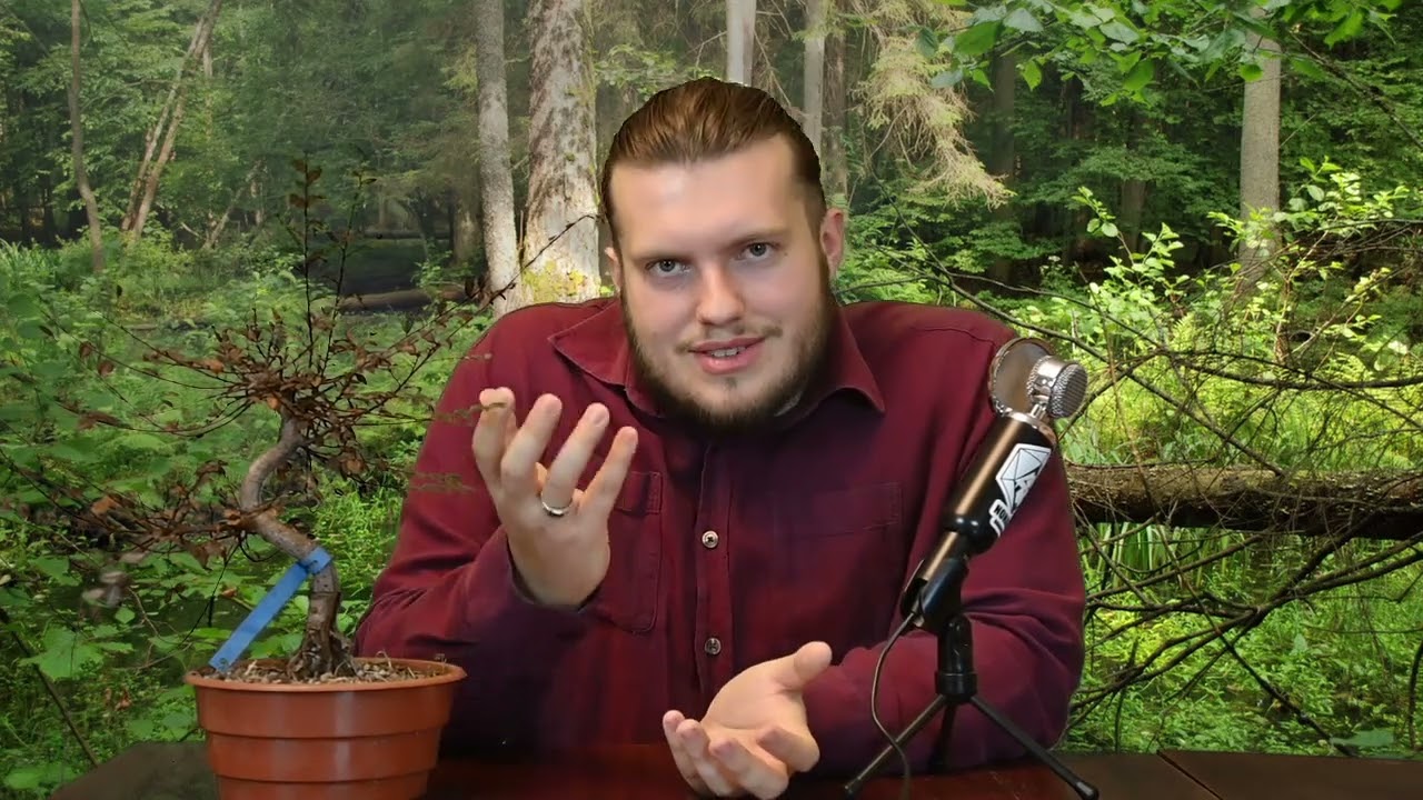 Bonsai na start i rada na dobry początek