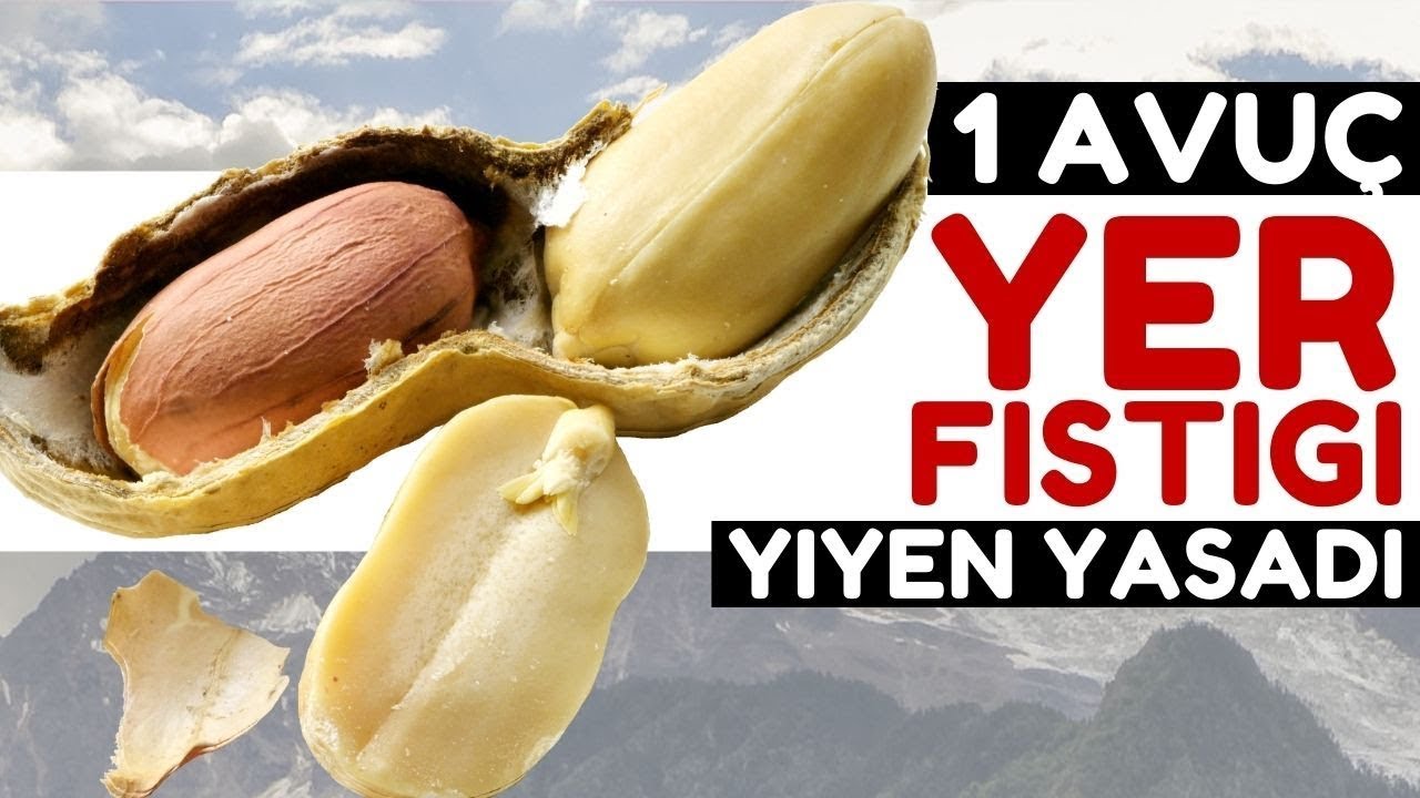 Sabahları 1 Kase Yer Fıstığı Vücudunuza Bunları Yapıyor | Yer Fıstığının Faydaları Nelerdir?