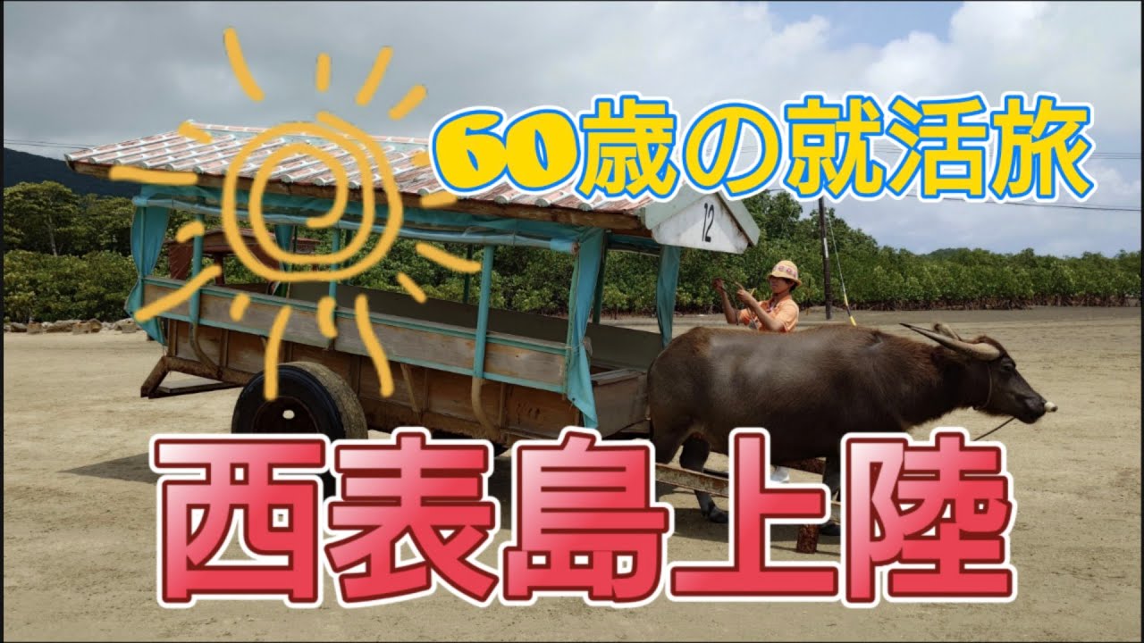 【西表島上陸】石垣島から日帰り・宿泊どっち？ 水牛車で渡る由布島から絶品イカスミ焼きそばまで完全ガイド