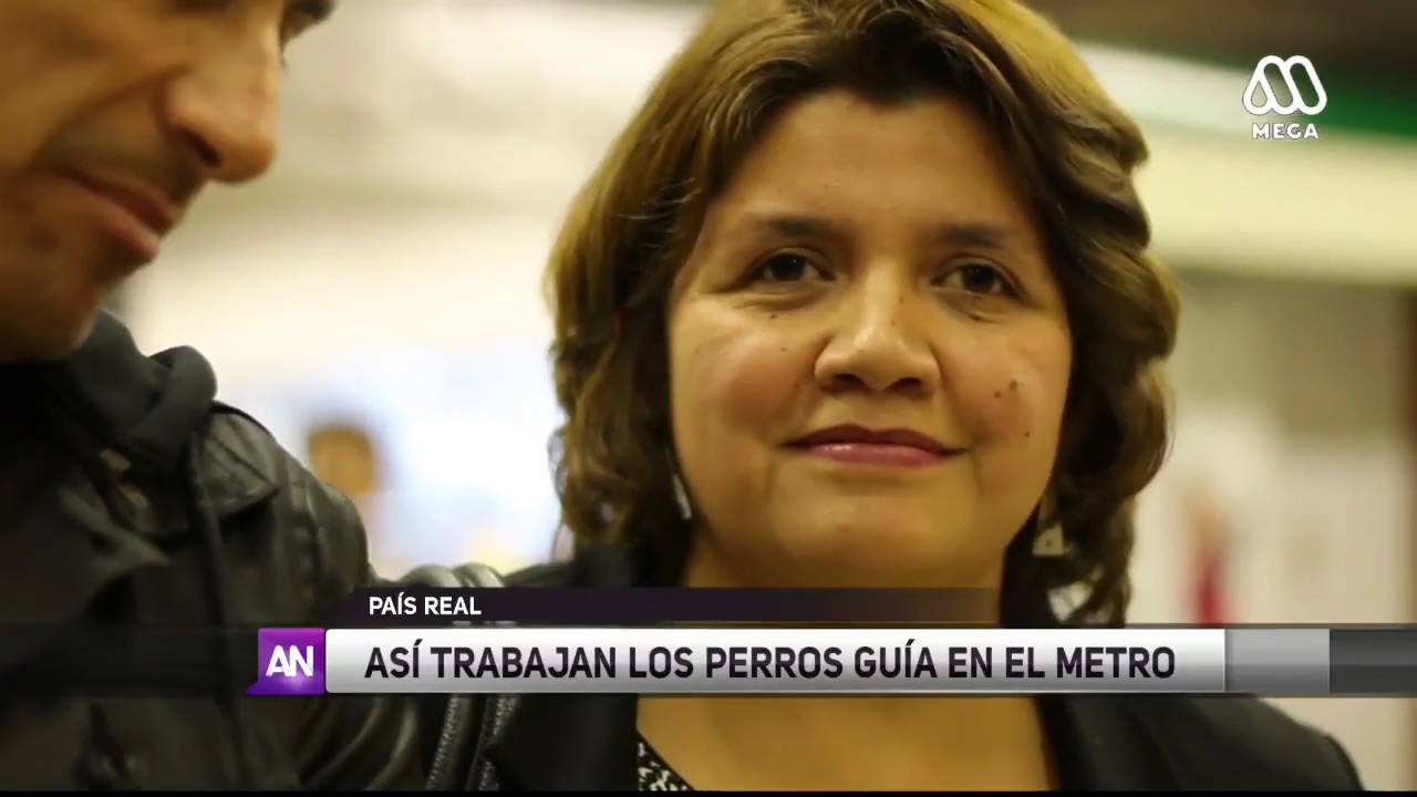 Perros guía buscan un lugar en la ciudad - Ahora Noticias
