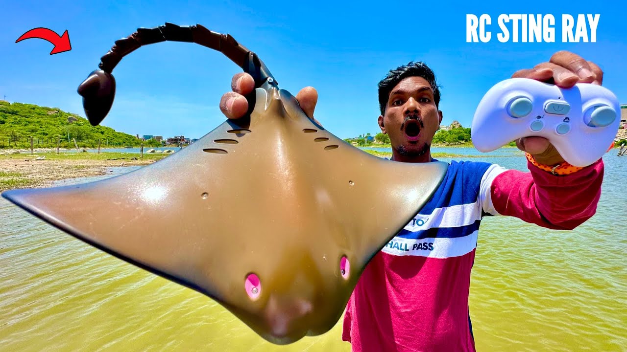 RC Stingray Under Water Fastest Fish Unboxing & Testing - Chatpat toy tv