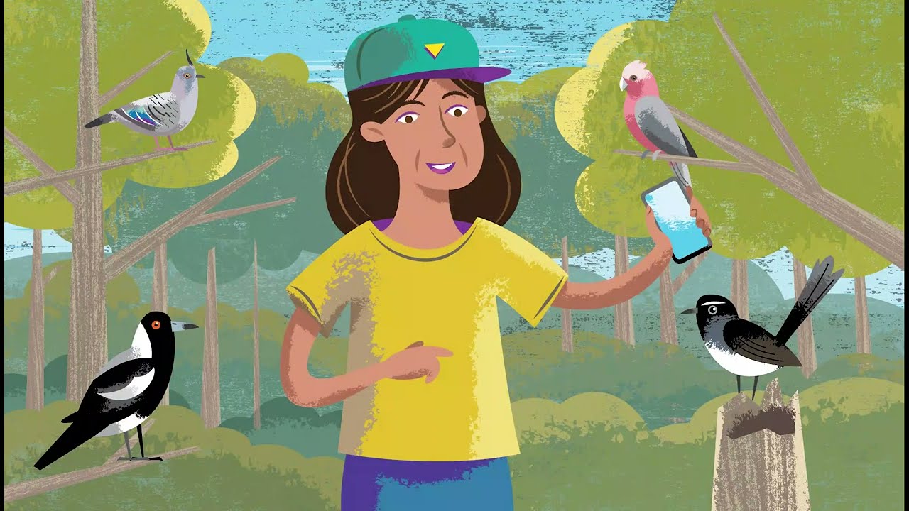 How to submit a BirdLife Australia bird survey using the Birdata app | 2ha 20min