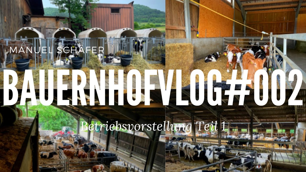 BauernhofVlog #002 Betriebsvorstellung Teil 1 Rinderhaltung |Sch&auml;ferhof Eningen