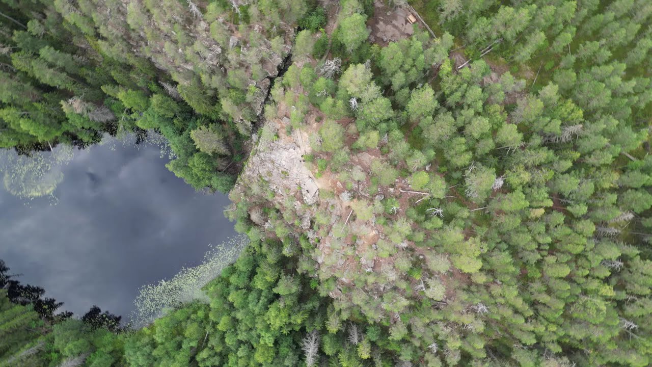 Helvetinjärvi Gorge - A Hidden Gem in Finland | Drone Cinematic 4K