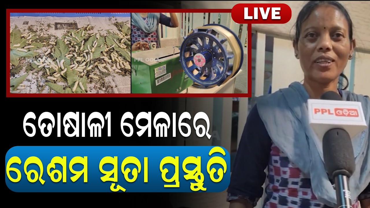 ତୋଷାଳୀ ମେଳାରେ ଲାଇଭ ଦେଖିବାକୁ ମିଳୁଛି  ରେଶମ ପୋକରୁ ସୂତା ପ୍ରସ୍ତୁତି  | Toshali Mela | PPL Odia