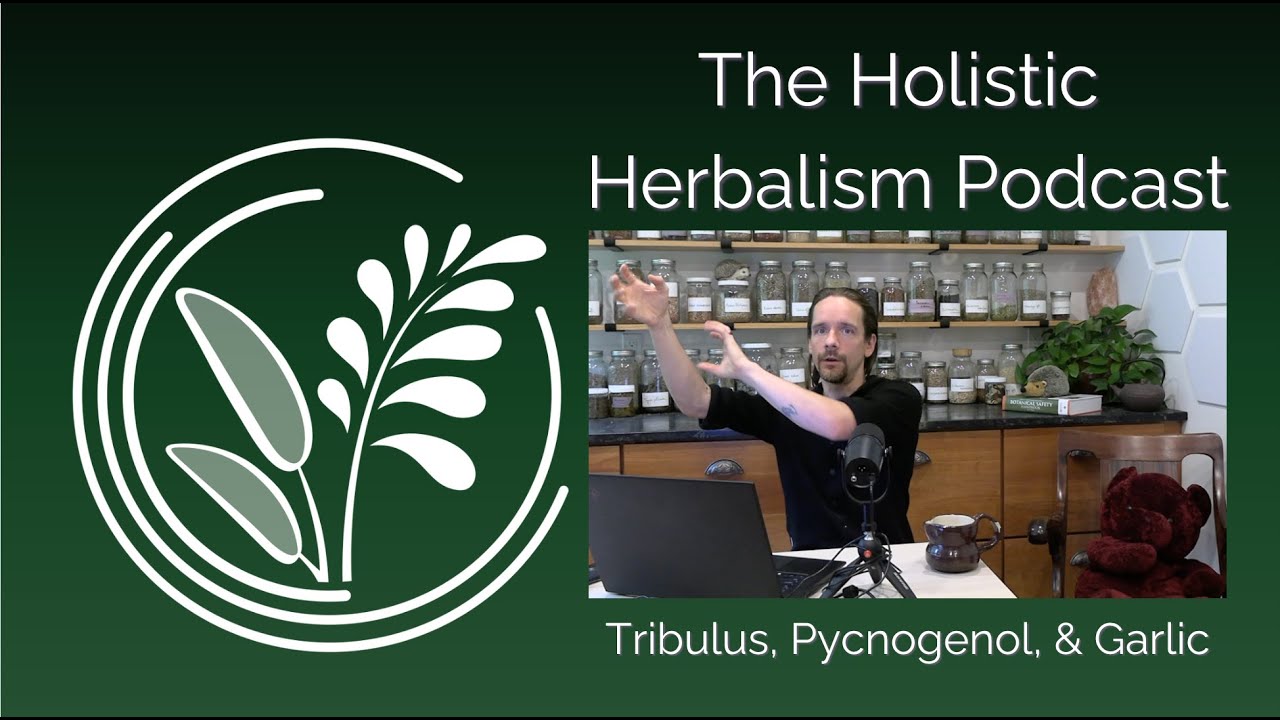 Top-Selling Herbs: Tribulus, Pycnogenol, & Garlic | The Holistic Herbalism Podcast