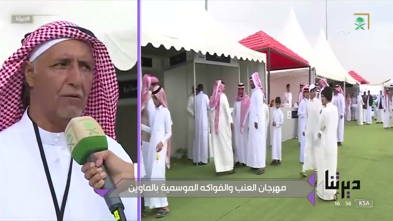 #ديرتنا | بمشاركة أكثر من 35 مزارعًا.. انطلاق مهرجان العنب والفواكه الموسمية في 