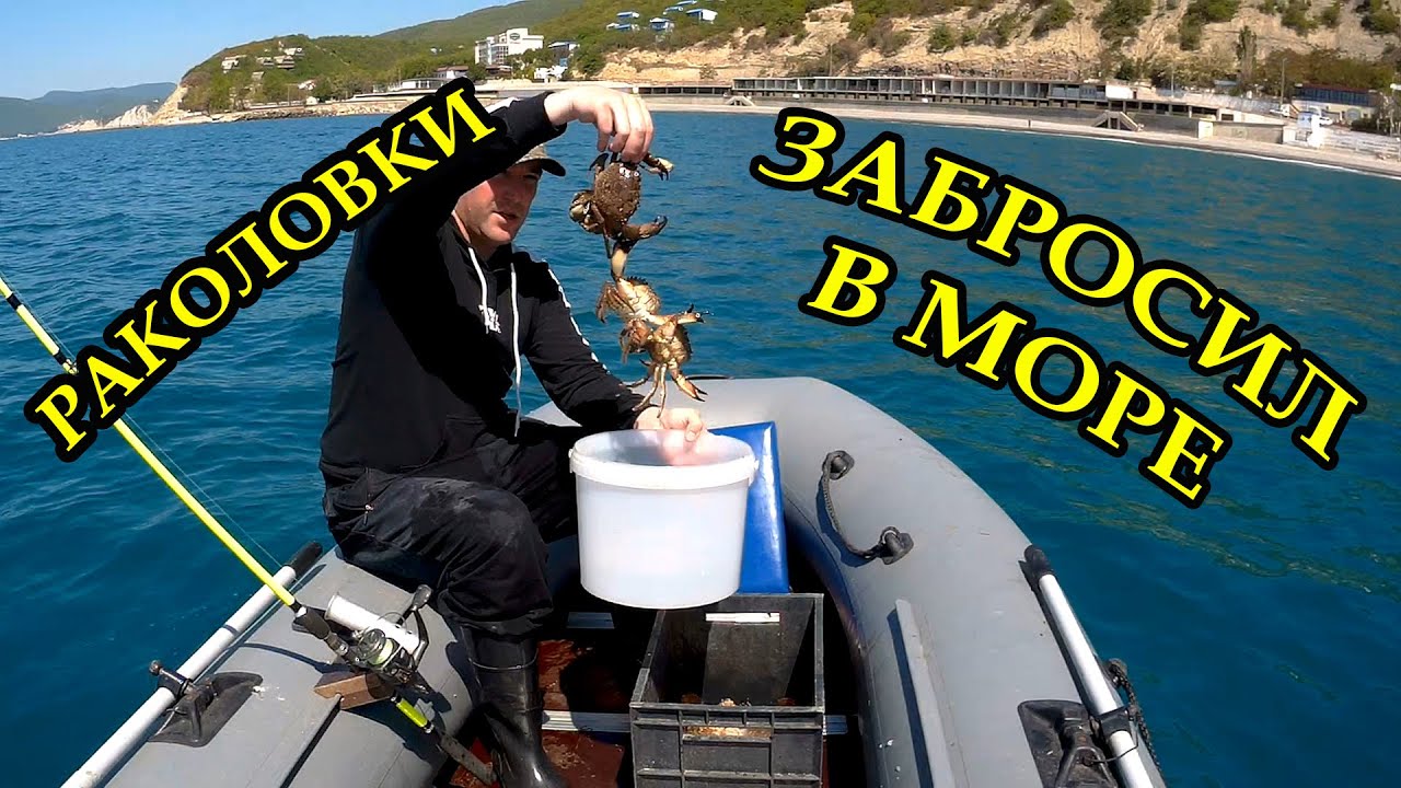 Раколовки.  Забросил раколовки в море, наловил крабов и рыбу.