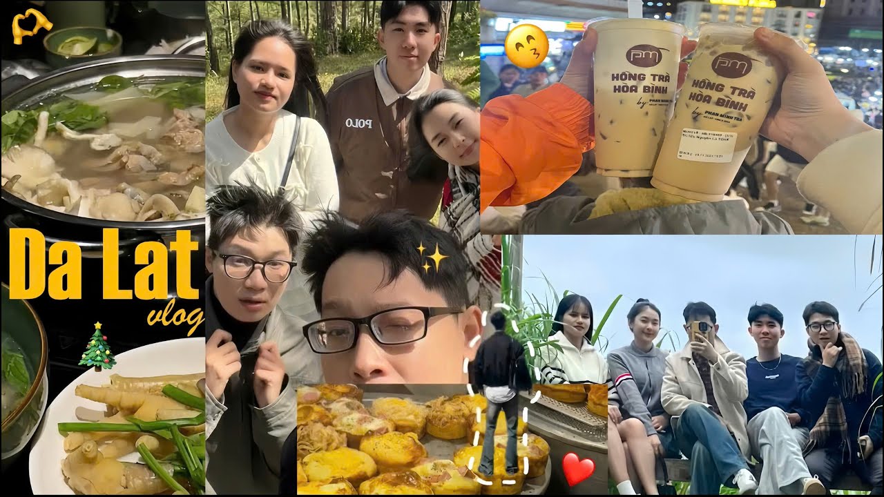 đà lạt vlog🌲mấy ngày cuối năm...