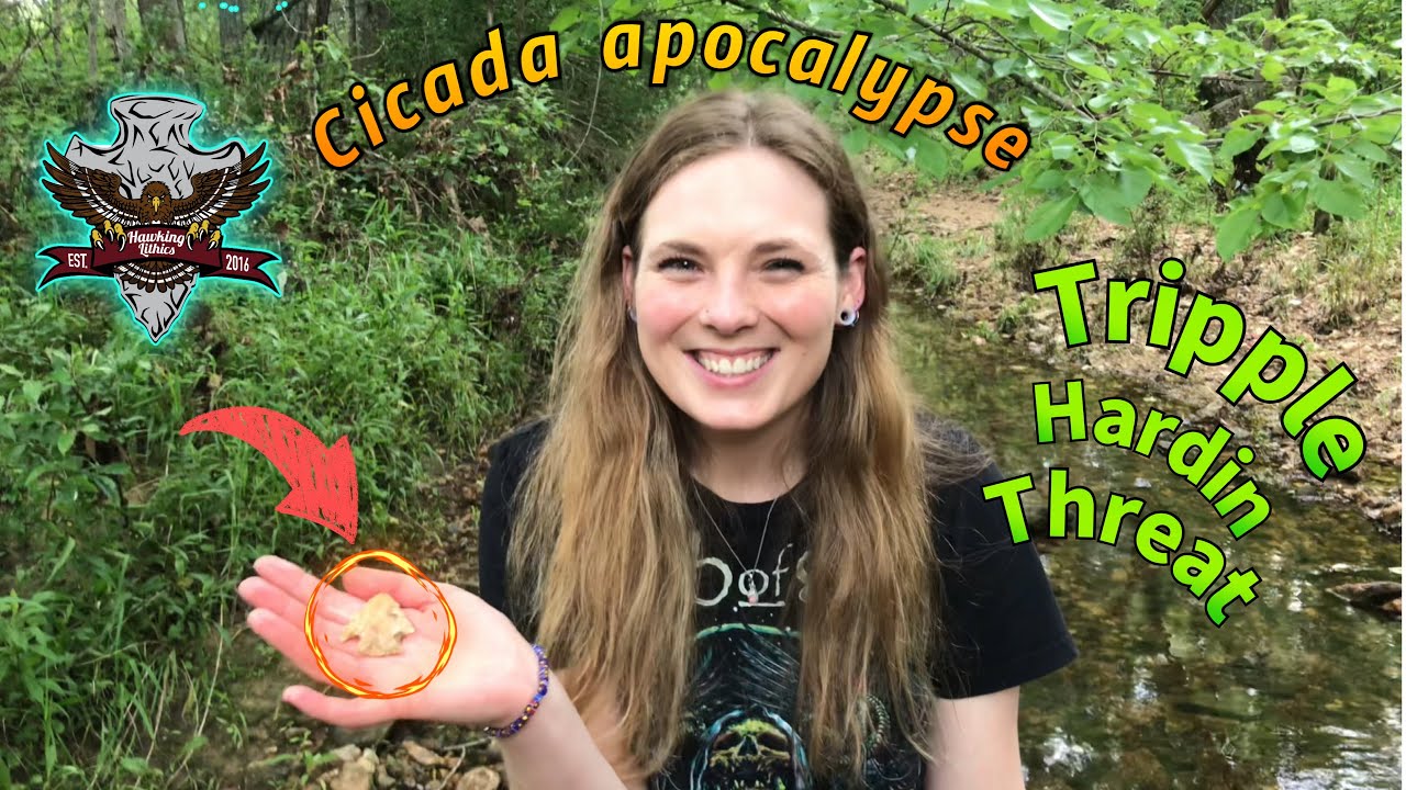 Cicada apocalypse, arrowhead hunting #108 Hawking Lithics