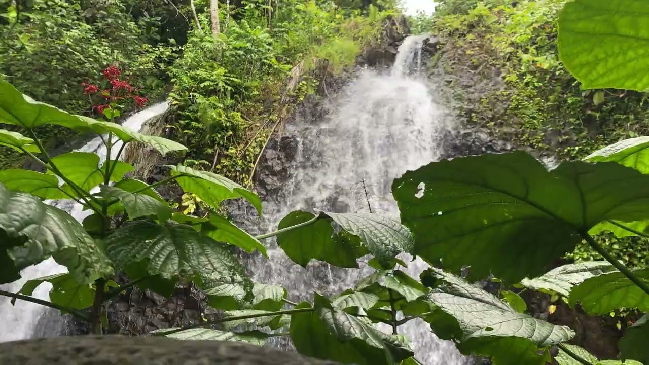 🌿 Vahi Waterfalls 1 – Tahiti 🌿