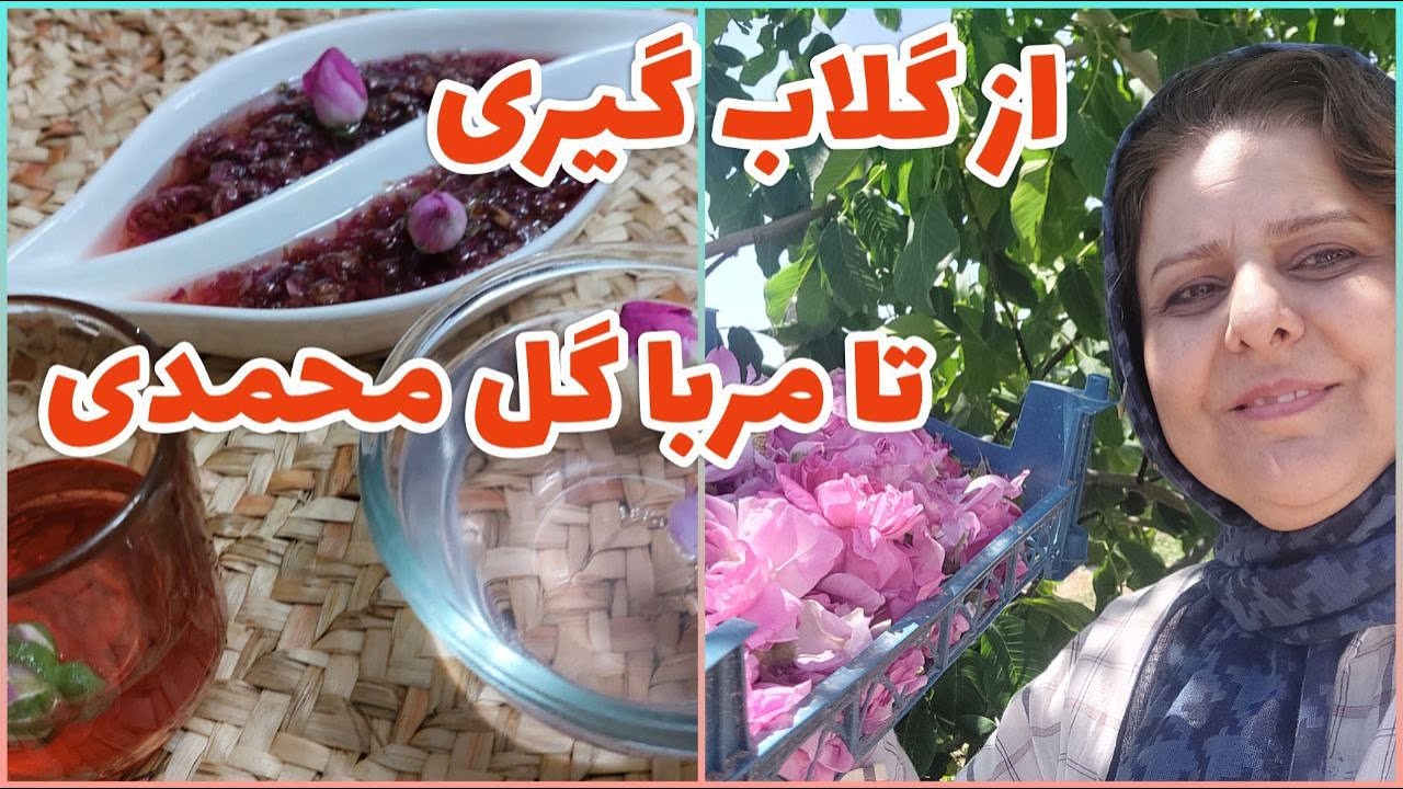 طرز تهیه مربا و شربت گل محمدی ، گلاب گیری خانگی به سبک سنتی ، آموزش آشپزی
