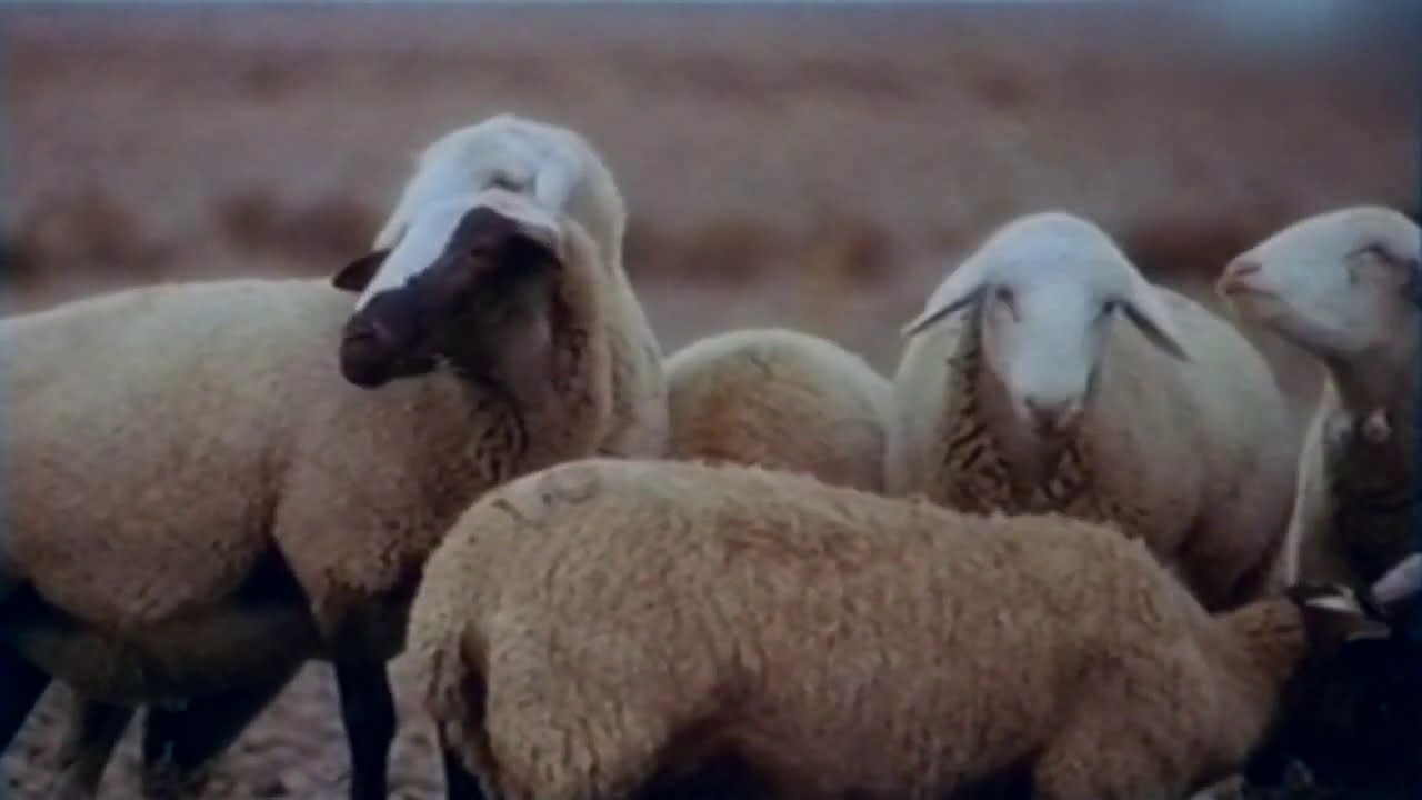 The KLF - What Time Is Love? - 1988 - (Original Video) - Pure Trance Edit - [KLF 004T]