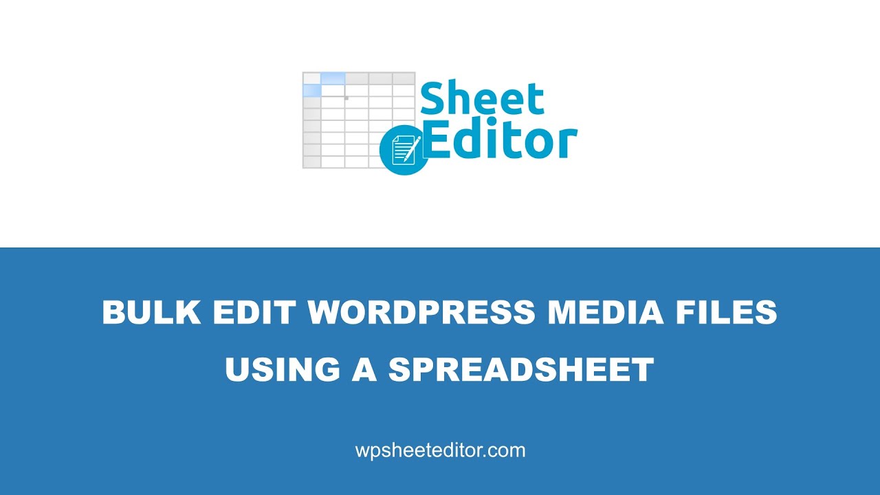 WordPress - Bulk Edit Media Library Files using a Spreadsheet