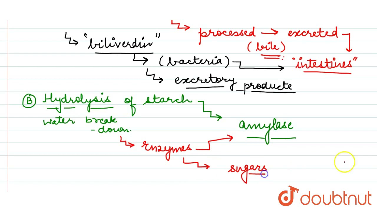 Match column I with column II  | 11 | Digestion and Absorption | BIOLOGY | NCERT | Doubtnut