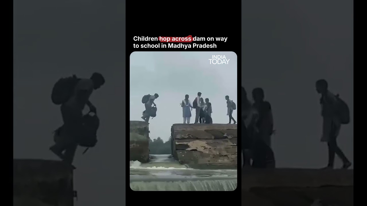 MP Schoolchildren Risk Lives Crossing Betwa River Dam to Reach School #mpnews #madhyapradesh