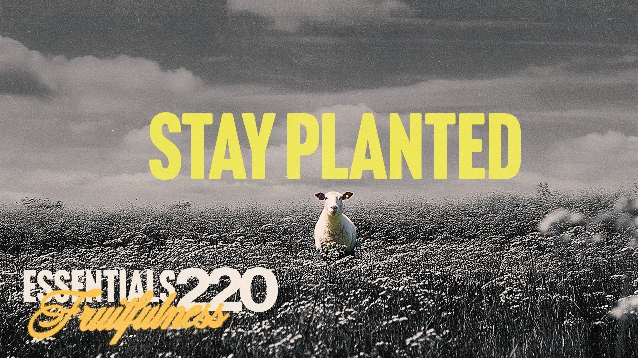 Stay Planted | Essentials | Pastor Joel Sosa