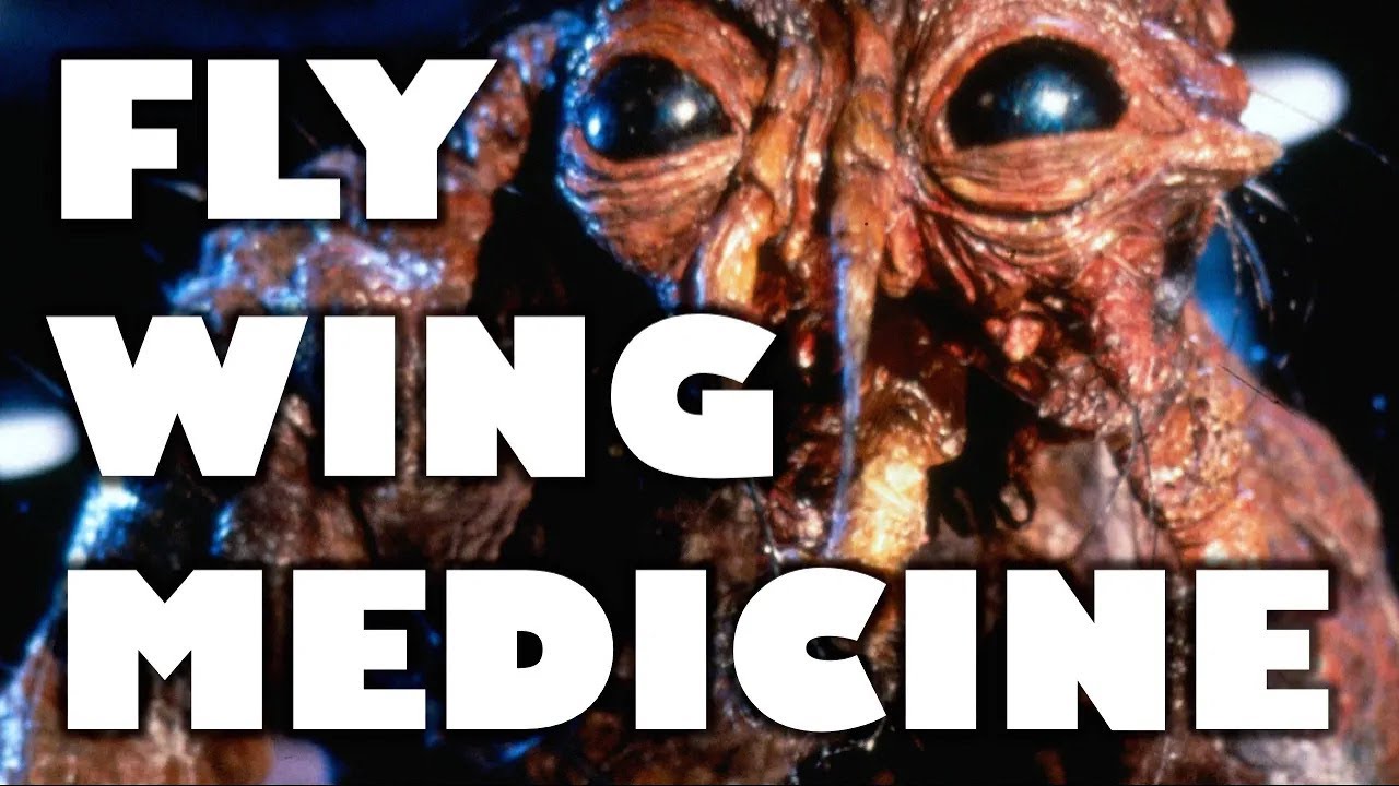 Muhammad's Fly-Wing Medicine (Fun Islamic Fact #9)