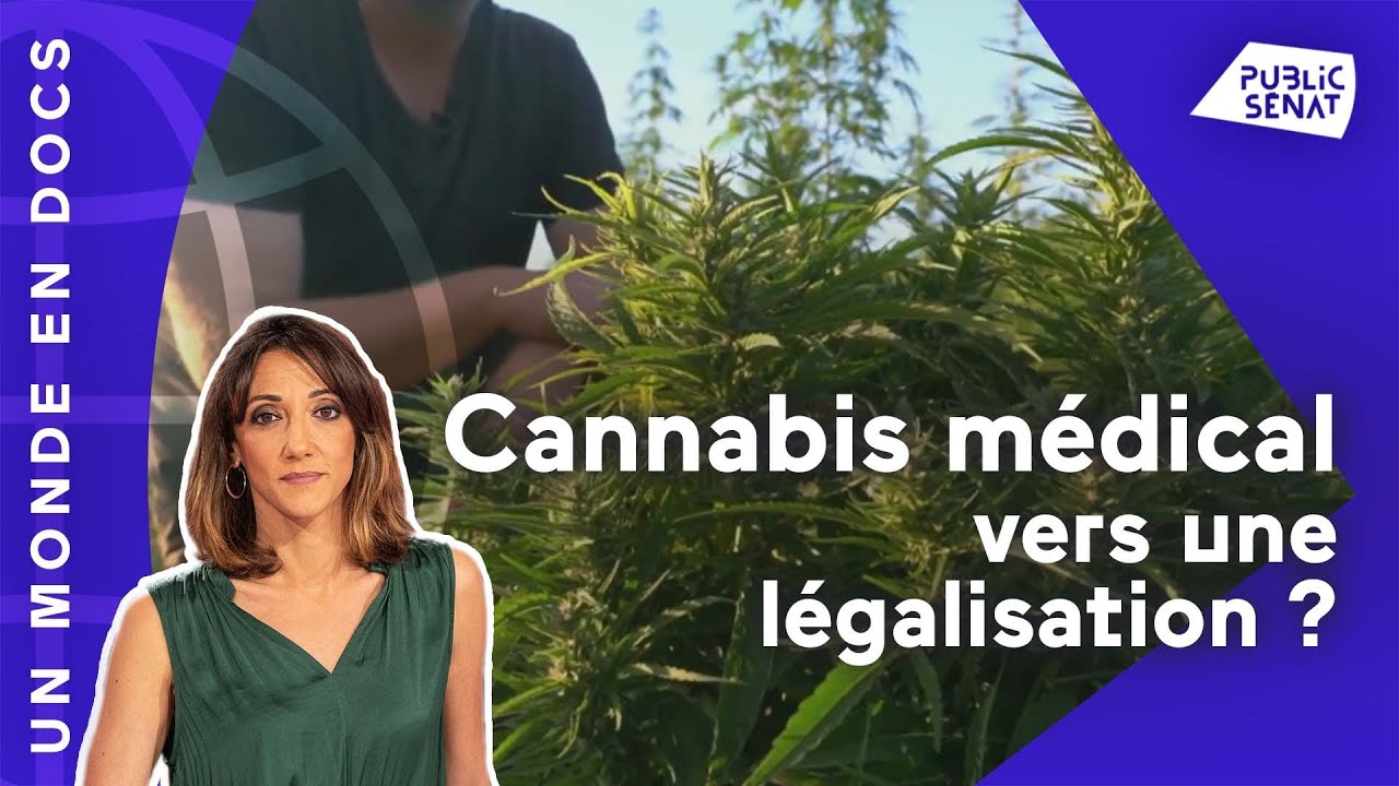 Cannabis médical : vers une légalisation ?