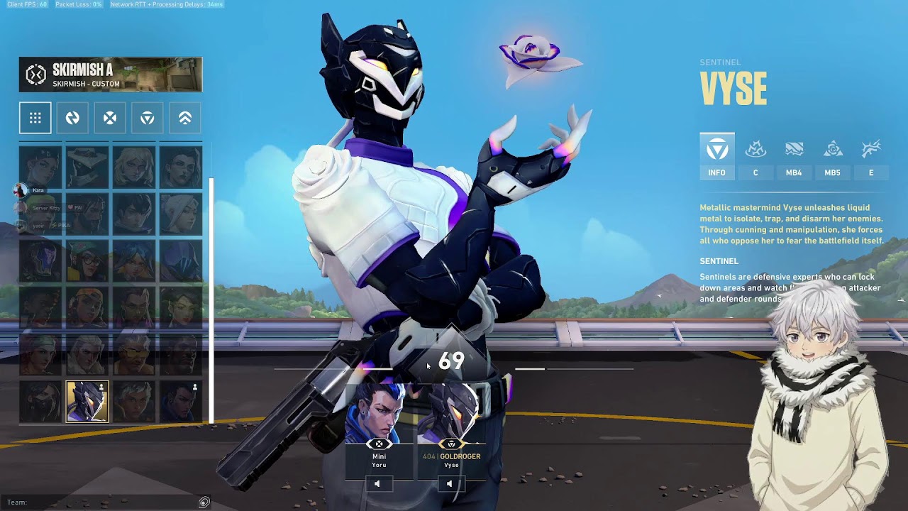 🔴Valo customs [Ger/Eng]