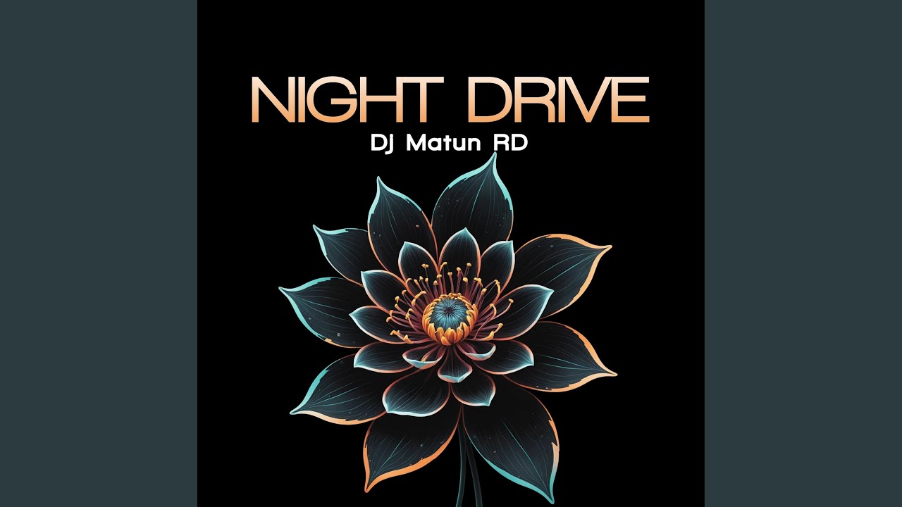 NIGHT DRIVE