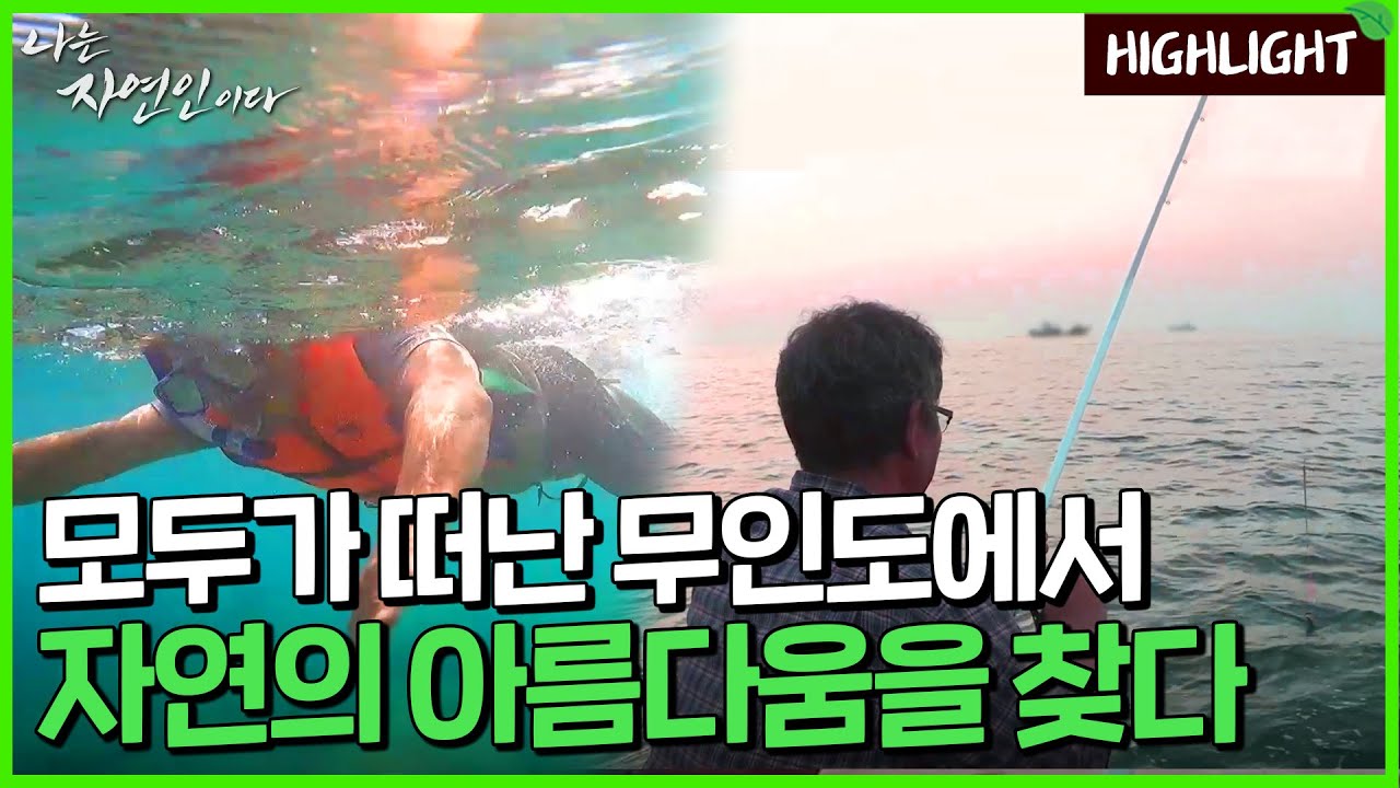 [자연인 하이라이트] 474 악명 높은 무인도! 생사의 고비를 넘기자 행복이 찾아왔다