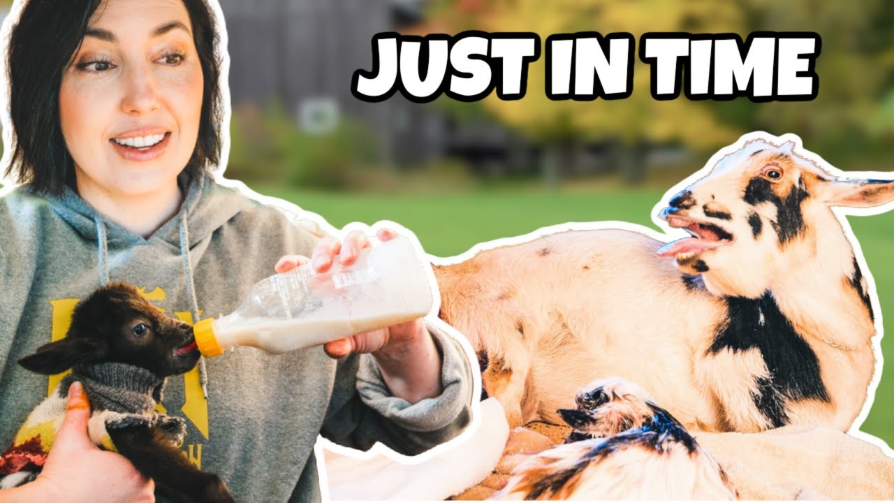 Her quick delivery SAVED our tiny bottle baby 🥹