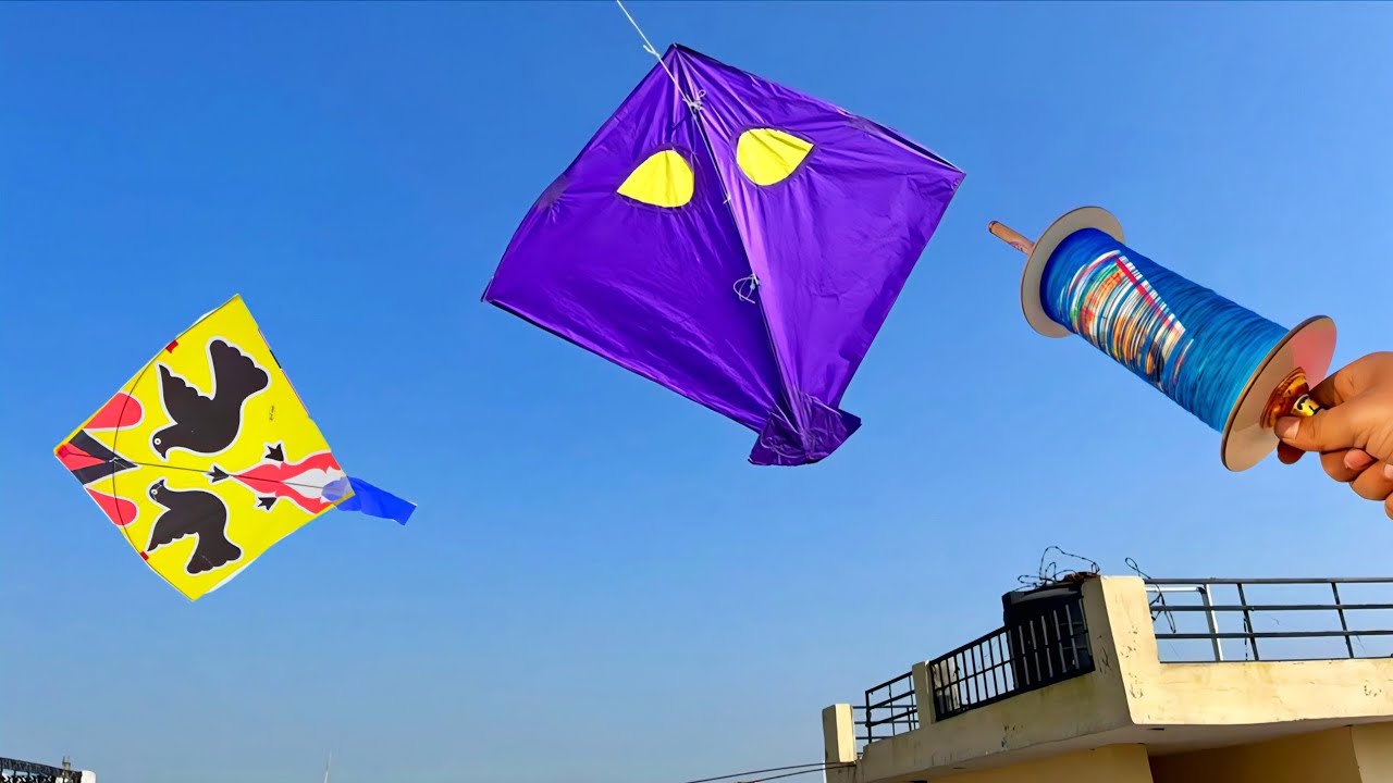 Kite Catching Form Rooftop | Kite Looting Ki Video | Caught Kites | Kite