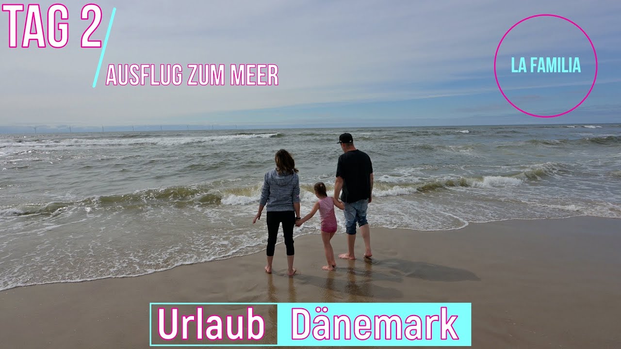Tag 2..Eine Robbe in Freiheit gefunden am Meer🏖️ Mit Klamotten ins Wasser😱 Strandtag🌊🥰