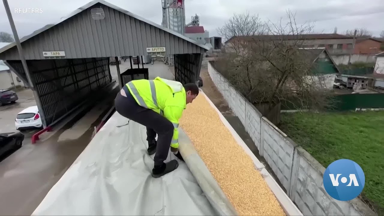 Europe Set to Curb Ukrainian Grain Imports After Farmers&rsquo; Protest | VOANews