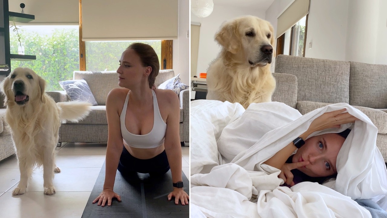 My Dog's BEST Reactions | Funny Dog Videos
