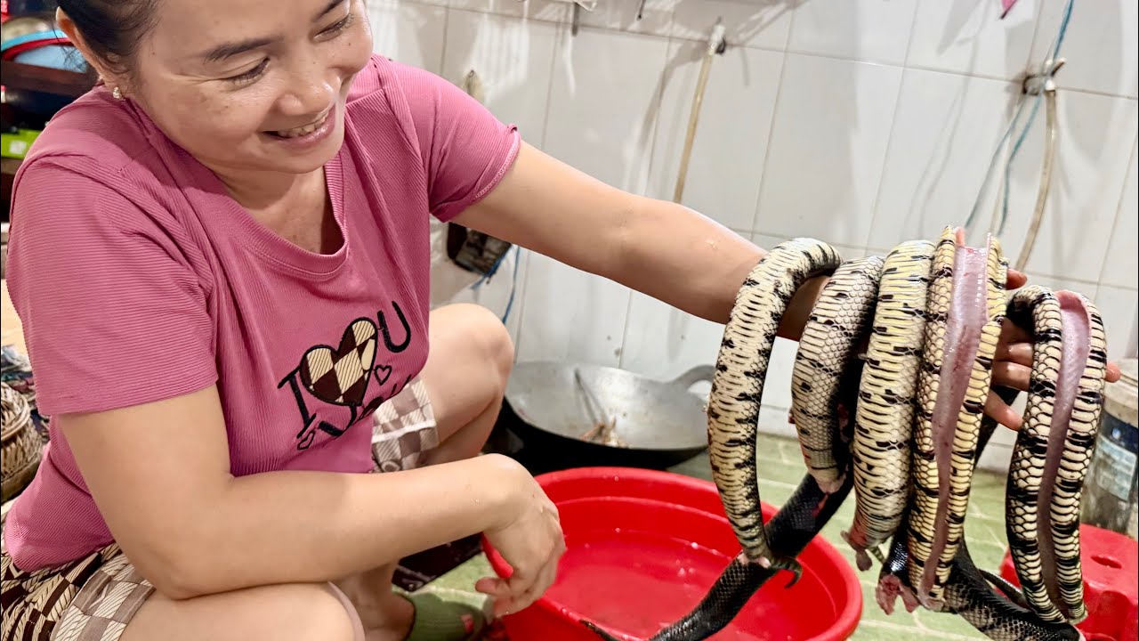 Rắn miền tây