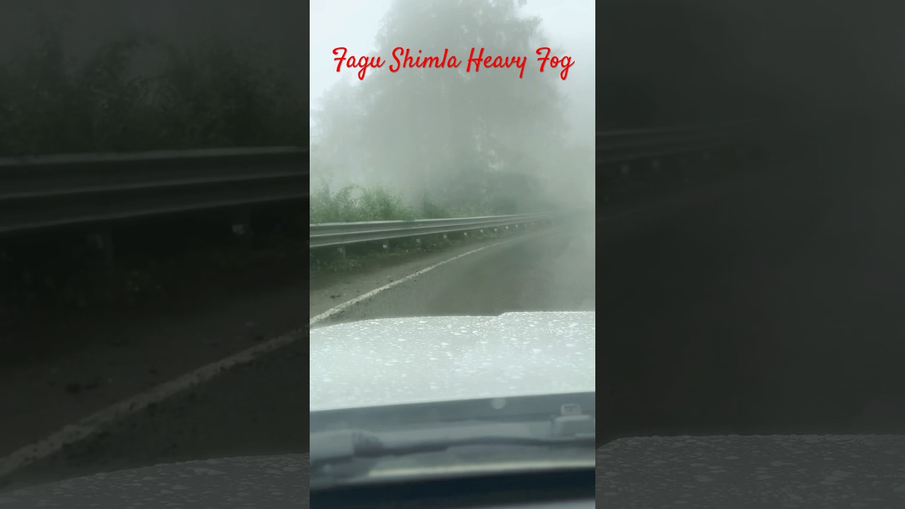 🌧️ #Fagu #Shimla: Heavy Rain & Flash Floods | #HeavyFlood #Rain #Flood in Himachal Pradesh