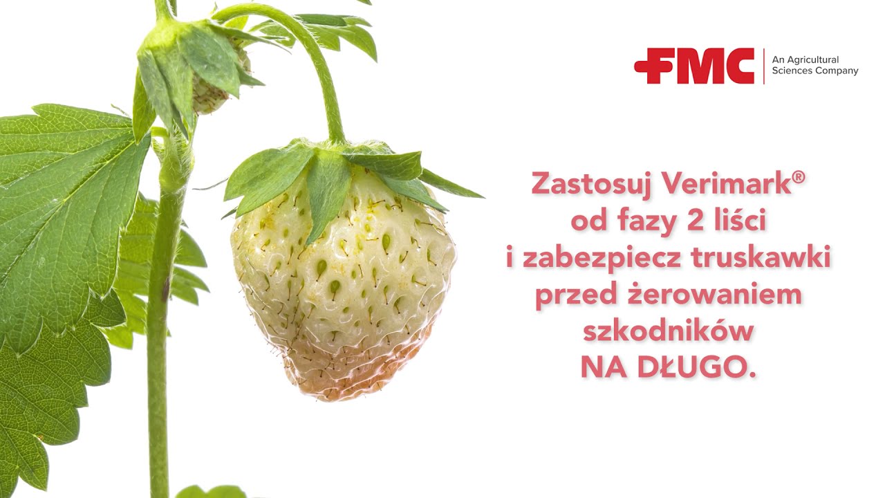 Verimark&reg; - skuteczna ochrona upraw truskawek przed szkodnikami